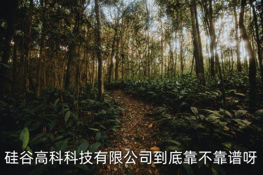 硅谷高科科技有限公司到底靠不靠谱呀