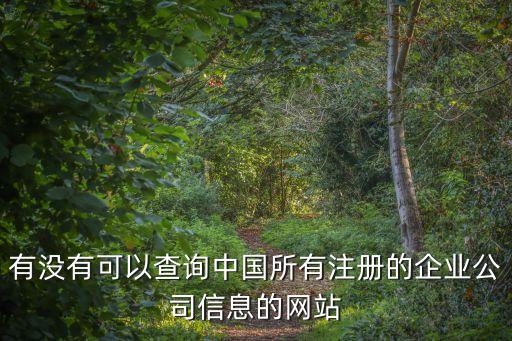 有没有可以查询中国所有注册的企业公司信息的网站