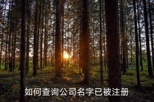 如何查询公司名字已被注册