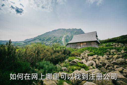 如何在网上哪里可以找到注册公司