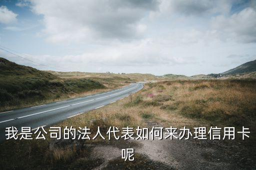 我是公司的法人代表如何来办理信用卡呢