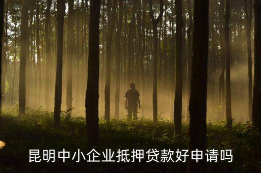 昆明中小企业抵押贷款好申请吗