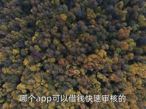 哪个app可以借钱快速审核的