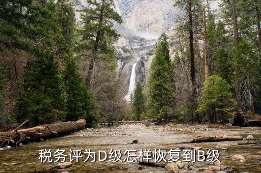 税务评为D级怎样恢复到B级