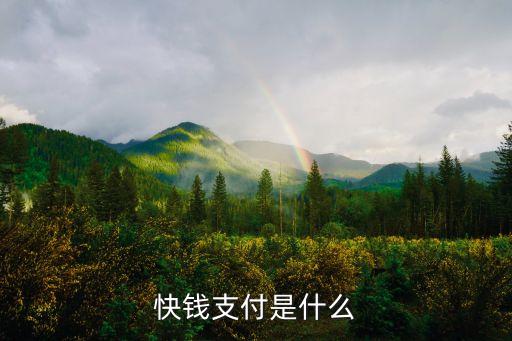 快钱支付是什么