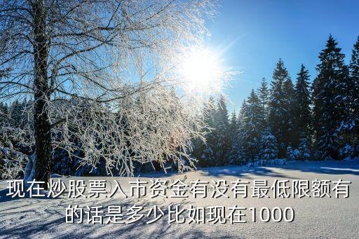 现在炒股票入市资金有没有最低限额有的话是多少比如现在1000