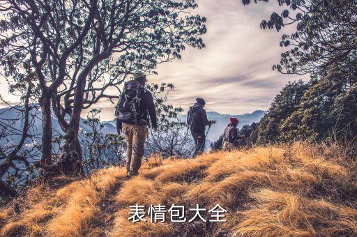 表情包大全