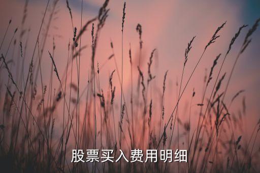 股票买入费用明细