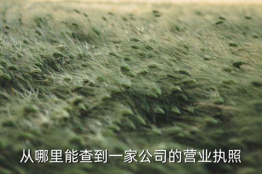 从哪里能查到一家公司的营业执照
