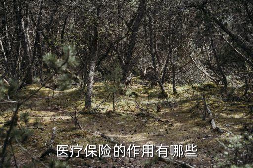 医疗保险的作用有哪些