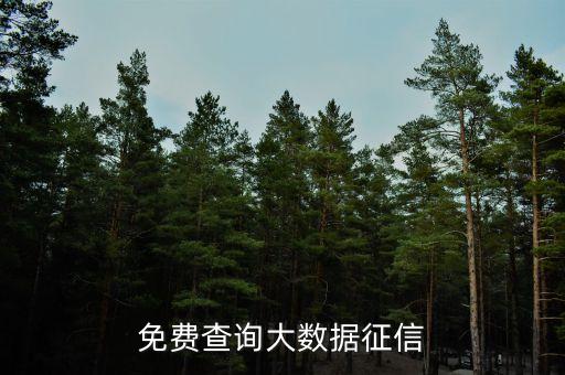 免费查询大数据征信