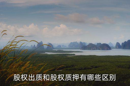 股权出质和股权质押有哪些区别