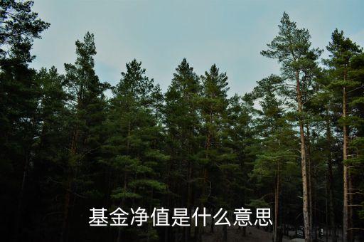 基金净值是什么意思