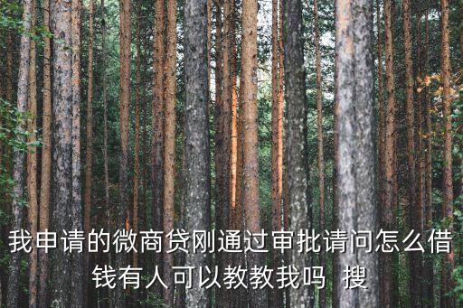 我申请的微商贷刚通过审批请问怎么借钱有人可以教教我吗  搜