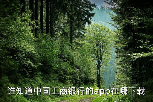 谁知道中国工商银行的app在哪下载