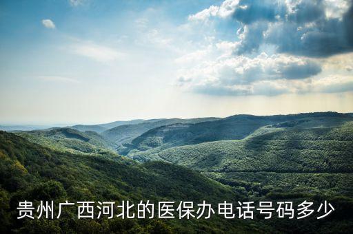 医保办电话，贵州广西河北的医保办电话号码多少
