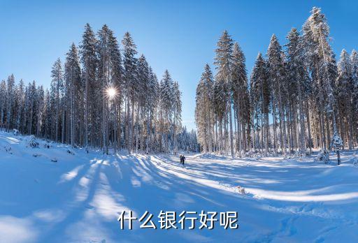 什么银行好呢