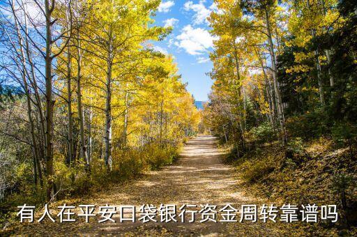 有人在平安口袋银行资金周转靠谱吗