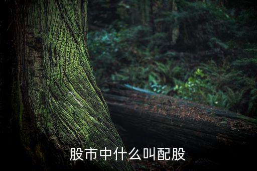 股市中什么叫配股