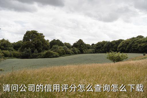 请问公司的信用评分怎么查询怎么下载