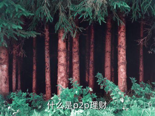 什么是p2p理财