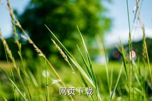 网页下载
