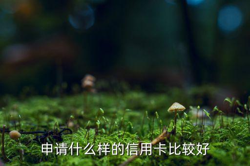 申请什么样的信用卡比较好