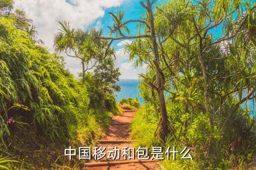 中国移动和包是什么