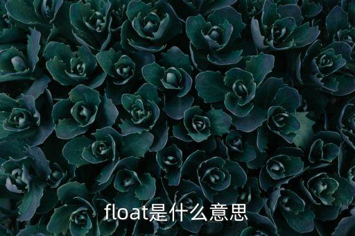 float是什么意思