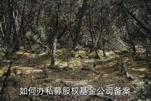 私募股权基金备案，如何办理私募股权基金备案办理手续有哪些