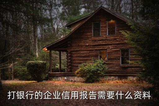 打银行的企业信用报告需要什么资料