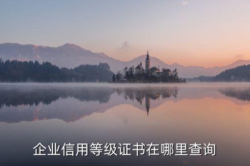 企业信用等级证书在哪里查询