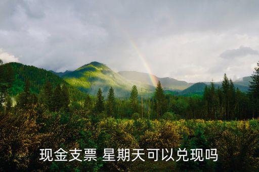 现金支票 星期天可以兑现吗
