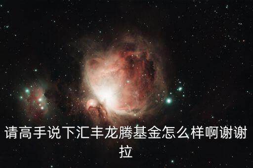 请高手说下汇丰龙腾基金怎么样啊谢谢拉