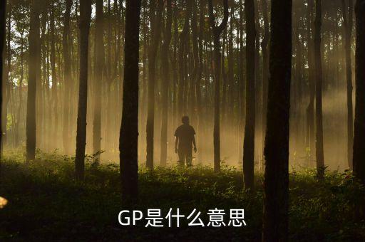 gp，gp是什么意思