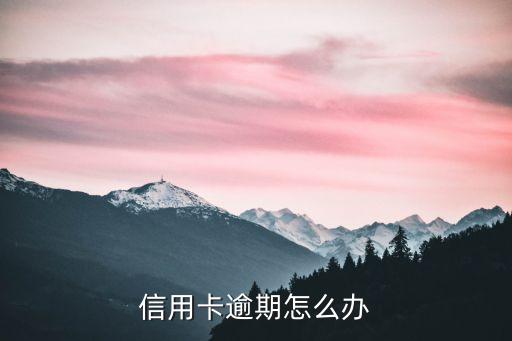 信用卡逾期怎么办