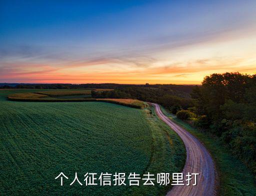 个人征信报告去哪里打