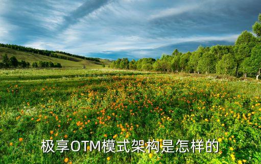 极享OTM模式架构是怎样的
