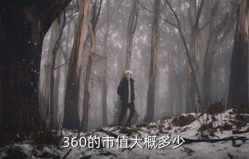 360股票，360的市值大概多少