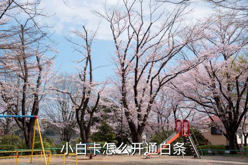 小白卡怎么开通白条