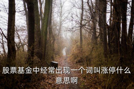 基金涨停，基金会涨停吗