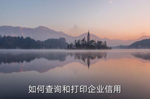 公司征信报告网上怎么打印，公司征信记录哪里打印