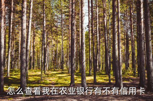 怎么查看我在农业银行有不有信用卡