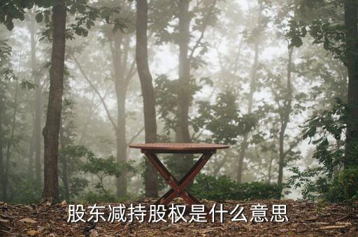 股东减持股权是什么意思