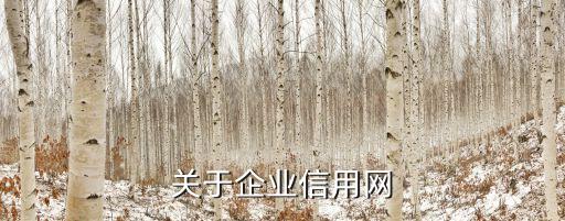 关于企业信用网