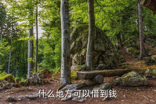什么地方可以借到钱
