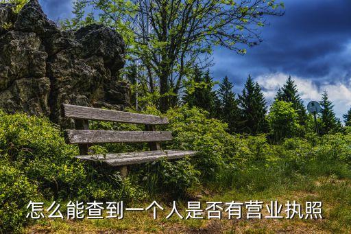 怎么能查到一个人是否有营业执照
