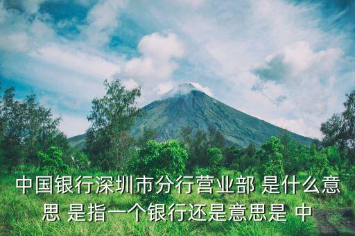 中国银行深圳市分行营业部 是什么意思 是指一个银行还是意思是 中