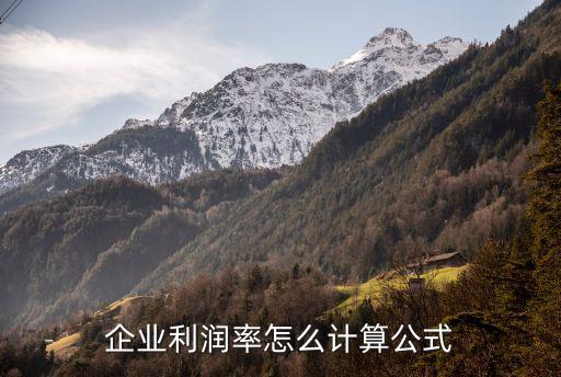 企业利润率怎么计算公式