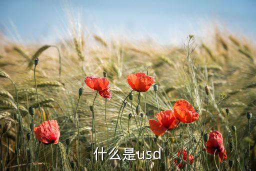 什么是usd